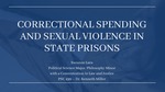Correctional Spending and Sexual Violence in State Prisons by Suzanne Lara
