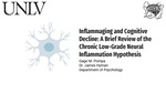 Inflammaging and Cognitive Decline: A Brief Review of the Chronic Low-Grade Neural Inflammation Hypothesis