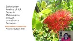Evolutionary Analysis of NLR Genes in Metrosideros through Comparative Genomics