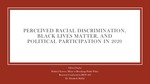 Perceptions of Race Relations, Black Lives Matter, and the Shaping of 2020's Politics: How Race Influenced Political Participation in the Year of George Floyd by Olivia Cheche and Elizabeth Maltby Ph.D.