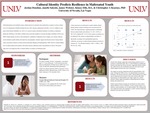 Cultural Identity Predicts Resilience in Maltreated Youth by Jordan Donohue, Janelle Salcedo, James Webster, and Kinsey Ellis