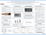 A Study on Modified Biochars for the Removal of Trichloroethylene (TCE) by Ashtin Hofert, Christina Obra, Suraj Venkat, Padmanabhan Krishnaswamy, and Erica Marti Ph.D.