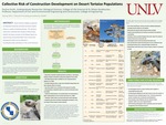 Collective Risk of Construction Development on Desert Tortoise Populations by Paulina Smith