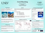 Coral Bleaching by Anja Marcusiu, Noah Ly, and Kimberly Nehls Ph.D.