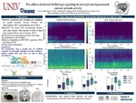 The Effects of Altered GABAergic Signaling in Microglia on Hippocampal-cortical Network Activity and Remote Recall by Ava R. Platt, Ryan A. Wirt, Amanda M. Leisgang-Osse, Emmanuel Flores, Lauren Crew, Dylone Braganza, Jefferson W. Kinney, and James M. Hyman Ph.D.