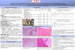 Isolation of Salt Tolerant Bacteria and Investigation of Perchlorate Biodegradation at High Salinity Conditions by Aymen Shafique, Yasaman Saedi, and Jacimaria Batista Ph.D.