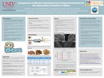 Comparison of Biochar Attained from Various Feedstocks for the Adsorption of Arsenic in Water by Fabianny Anez, Suraj Pochampally, Christina Obra, Jaeyun Moon, and Erica J. Marti