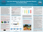 Low-Cost Adsorbent for Disinfection Byproduct Removal from Drinking Water by Savanna Vacek and Suraj Pochampally