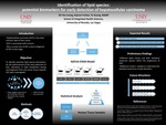 Identification of lipid species: potential biomarkers for early detection of hepatocellular carcinoma by Kit Yee Leung and KayLee Freitas