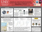 Microbial Life in Deep-Subsurface Environments: The Role of High Pressure in Biogeochemical Cycles by Cheyenne Brokaw