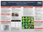 Electrochemical Inactivation of Tobacco Mosaic Virus: A Novel Vaccine Method by Angelica Diaz