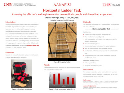Rat Horizontal Ladder Task
