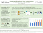 Groundwater Remediation Using Modified Biochar by Kers Ung-Watson, Ismail Abdulraheem, Nikki Tibayan, and Suraj Pochampally