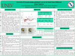 Growth of Pseudocotalpa giulianii Larvae in Sand from Different Dune Sources by Cosset Hernandez Pena and Mandy Mountain