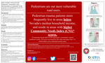 Injury Inequity Among Nevada Pedestrians: Assessment Using Measurements of Community Needs by Merika Charupoom; Nicole Bacani; Emily Carter; Emily Strickler; Laura K. Gryder; Kavita Batra; and Deborah A. Kuhls MD, FACS