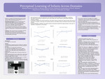 Perceptual Learning of Infants Across Domains by Melanie Garcia, Carolina A. Herrera, Ryan K. Perez, Rodica R. Constantine, and Erin E. Hannon