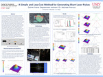 A Simple and Low-Cost Method for Generating Short Laser Pulses by Daniel Fisher
