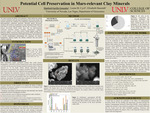 Potential Cell Preservation in Mars-relevant Clay Minerals by Hanford Gerille Gonzales, Leena M. Cycil, and Elisabeth Hausrath