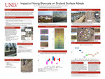 Impact of Young Biocrust on Dryland Surface Albedo by Rhynhardt Mudde, Rebekah Magness, Raul Roman, and Nicole Pietrasiak