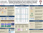 Pathway-based Polygenic Risk Score Analysis of Brain Glial Indicates Cell-type-specific Roles in Alzheimer's Disease by Tyrell Pratt, Alice Lee, Jennifer Zheng, Faria Tavacoli, Hayley Ho, Tingwei Liu, and Jingchun Chen