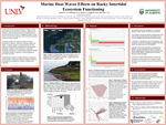 Marine Heat Waves Effects on Rocky Intertidal Ecosystem Functioning