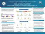 Competence Protein ComEA and Oxidative Stress in Bacillus subtilis Stationary Phase Mutagenesis