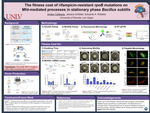 The Fitness Cost of Rifampicin-resistant rpoB Mutations on Mfd-Mediated Processes in Stationary Phase Bacillus Subtilis by Amber Callaway and Jessica Grifaldo
