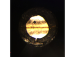 Hard X-ray Induced Decomposition of Magnesium Oxalate by Michael Pravica