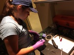 Preparation of SEM Usage by Idalia Soto
