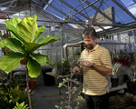 UNLV Herbarium by University of Nevada, Las Vegas